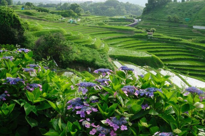 Ruins of Chihaya Castle, Japan